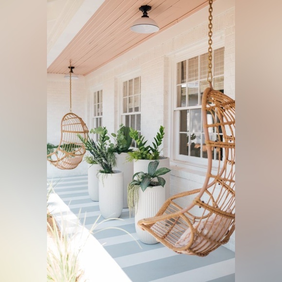 🌿Meet & Greet🌿 - Picture 11 of 14